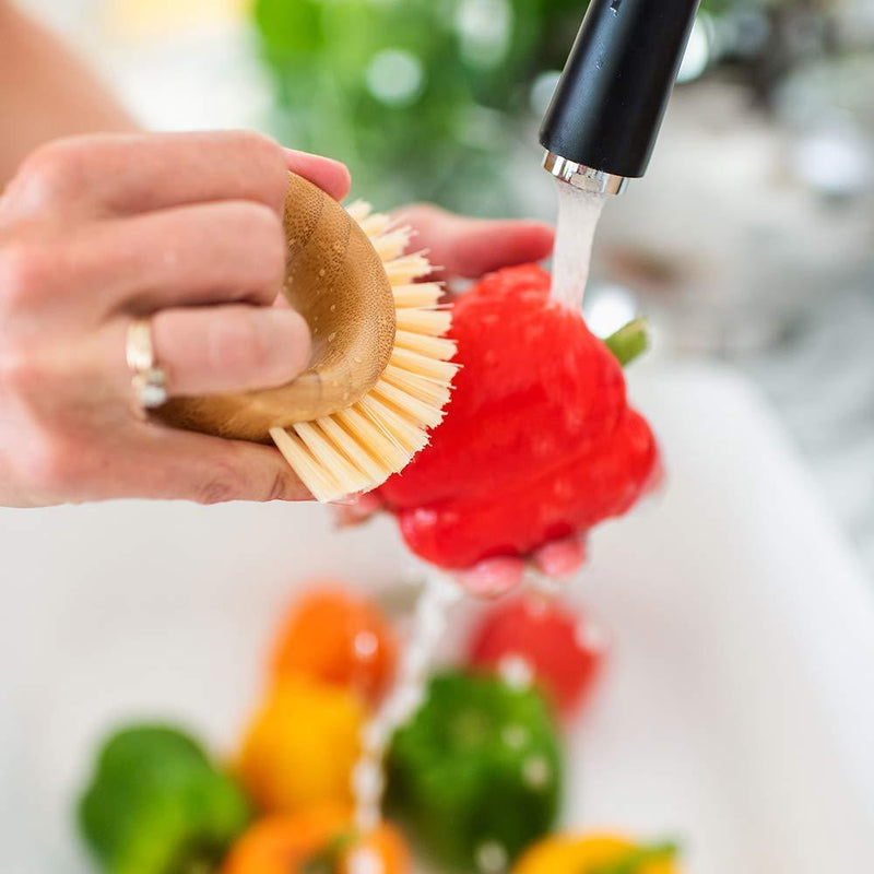 Full Circle The Ring Fruit and Vegetable 2 in 1 Fruit & Vegetable Cleaning Brush, Small (Pack of 1), White Small (Pack of 1)