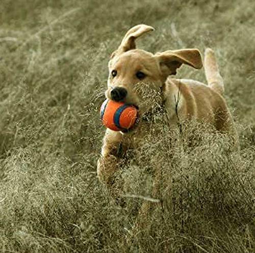 Chuckit! Ultra Ball, Dog Toy, Various Sizes Medium Pack of 2