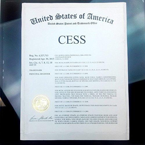 CESS 6.35mm 1/4 Inch Mono Male to Dual RCA Female Splitter Adapter - 6.35mm Mono Male to RCA Female (2 Pack)