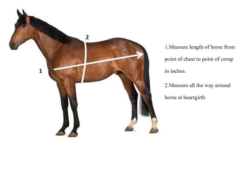 WIN TAPE Measure Horse and Pony Height Weight Tape, Weight in Pounds & Height in Hands (Hands/LBS)