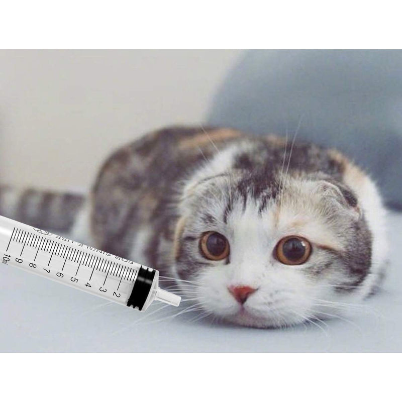 6 Pack - 10ml Plastic Syringe with Measurement, No Needle Suitable for Refilling and Measuring Liquids, Feeding Pets, Oil or Glue Applicator 10ML NO Needle