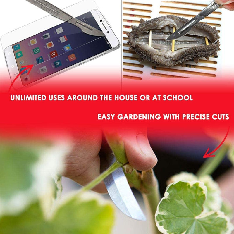 MedHelp Pack of 100 Disposable Scalpel Blades #10, Size 10 Surgical Blades, High Carbon Steel Dermaplane Blade Tool. Individually Wrapped #10 Scaple Blade, Sterile