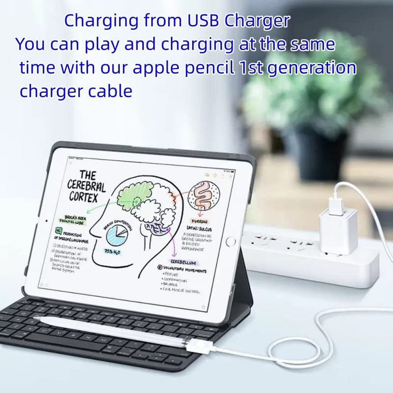 ONGAHON Charging Cable for Apple Pencil 1st Generation, 3.3FT 1 Pack iPencil 1 Charger Adapter Extend Your i Pad Battery Life & Avoid Female Plug Break 3.3 FT
