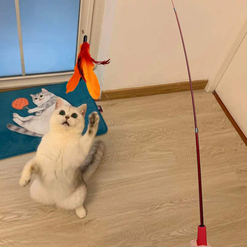 MeoHui Interactive Cat Feather Toys, 2PCS Retractable Cat Wand Toy and 9PCS Squiggly Worm Feathers Teaser Refills, Cat Toys for Indoor Cats Kitten Play Chase Exercise Basic