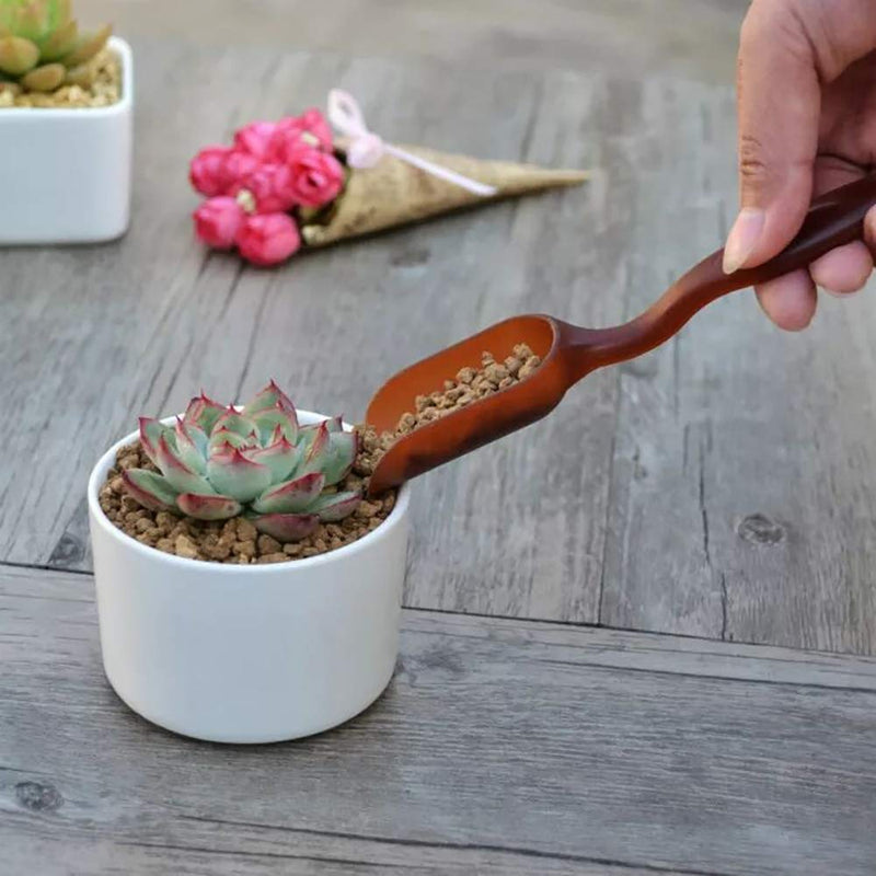 SONGZIMING 15 Pcs Succulent Plant Tools Set, Mini Garden Planting Watering Tool Kit for Succulent Miniature Gardening Plant Care 15Pcs