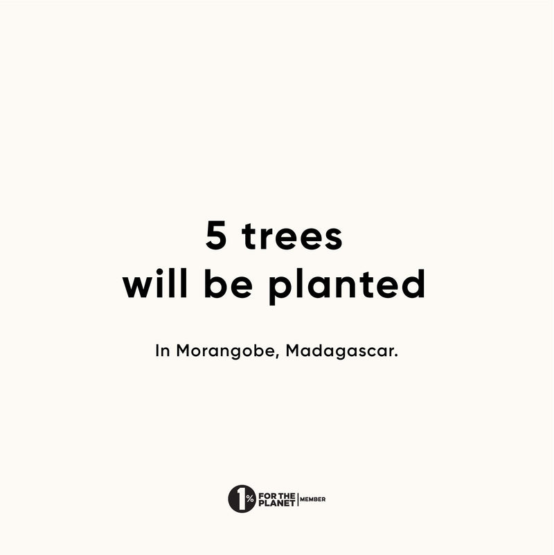 Urth Naos 13” Laptop Padded Sleeve – Weatherproof + Recycled (Black) BLK & 13"