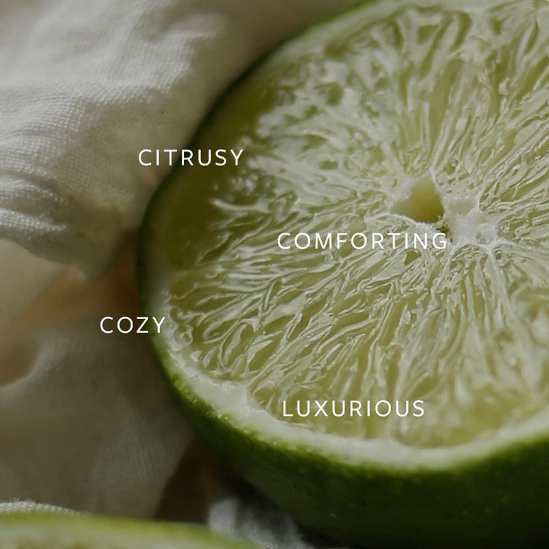 Vitruvi 100% Pure Premium Essential Oil Bergamot