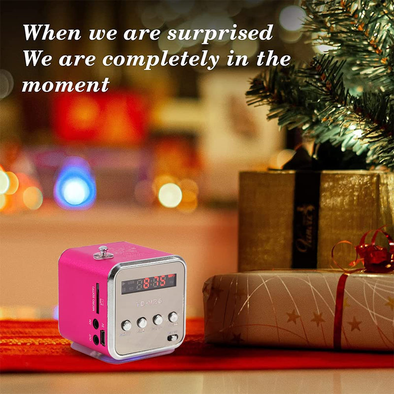 Eboxer Portable Mini Speaker Music Player FM Radio Stereo Speaker Support TF Card and U Disk, Brief Design, Perfect Mini Speaker for Room Bike Car for Phone/Tablet/Computer (Rose Red)