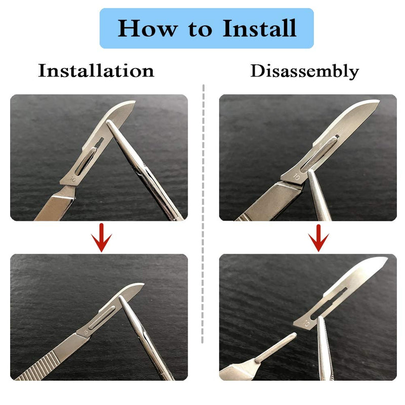 Surgical Grade Blades #11 10pcs Sterile with #3 Scalpel Knife Handle for Biology Lab Anatomy, Practicing Cutting, Medical Student, Sculpting, Repairing 10 Pcs