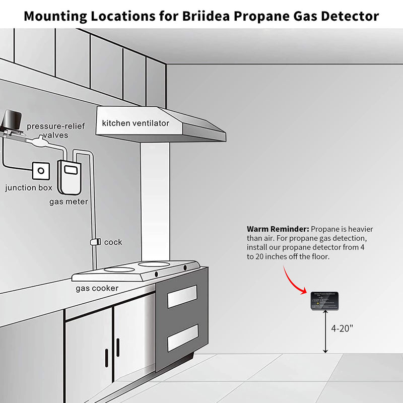 RV Propane Alarm, Briidea Propane Gas Detector with 85dB Loud Alarm, 12 VDC, Black