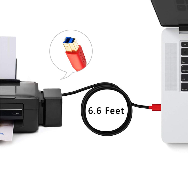 USB 3.0 Cable A Male to B Male 6Ft,Tan QY Type A to B Male Compatible with Hard Disk Drive,Printers,Scanner,USB Hub,Monitor and More (2M/6Ft) 2M/6Ft