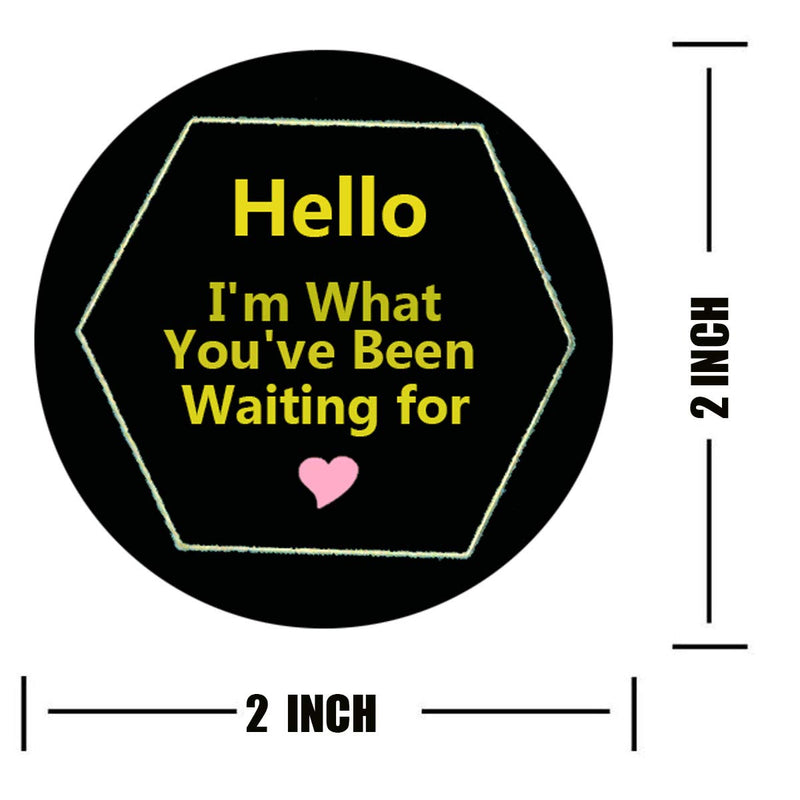2" Round Black Hello, I'm What You've Been Waiting for Stickers,Say Hello to Your New Favourite Stickers - Pink Business Thank You Stickers, Shipping Stickers 500 Total Labels