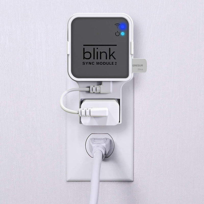 256GB Blink USB Flash Drive for Local Video Storage with The Blink Sync Module 2 Mount (Blink Add-On Sync Module 2 is NOT Included) 256 GB + 1 Pack White
