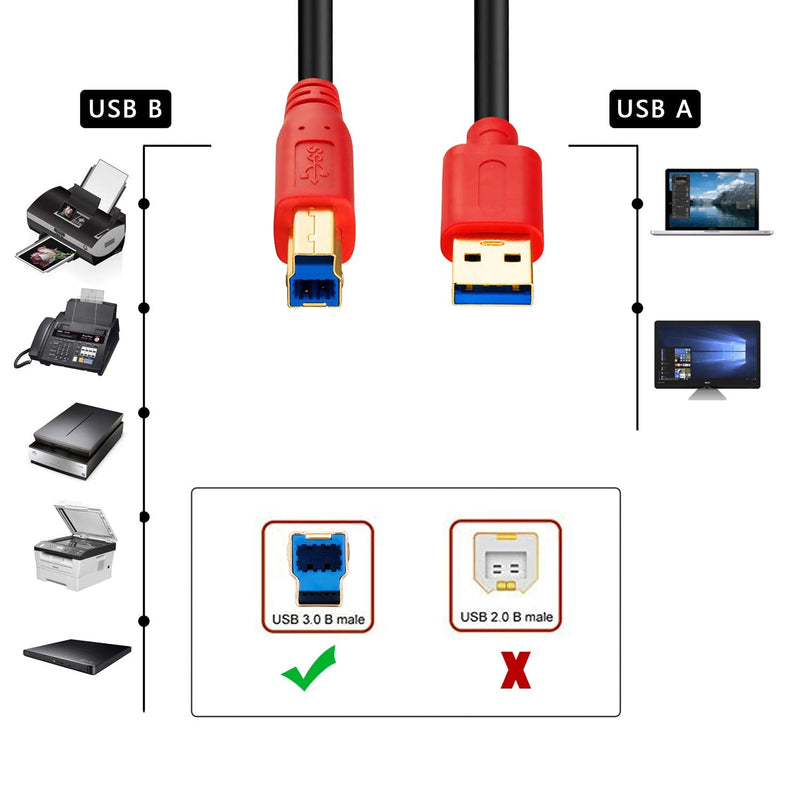 USB 3.0 Cable A Male to B Male 6Ft,Tan QY Type A to B Male Compatible with Hard Disk Drive,Printers,Scanner,USB Hub,Monitor and More (2M/6Ft) 2M/6Ft