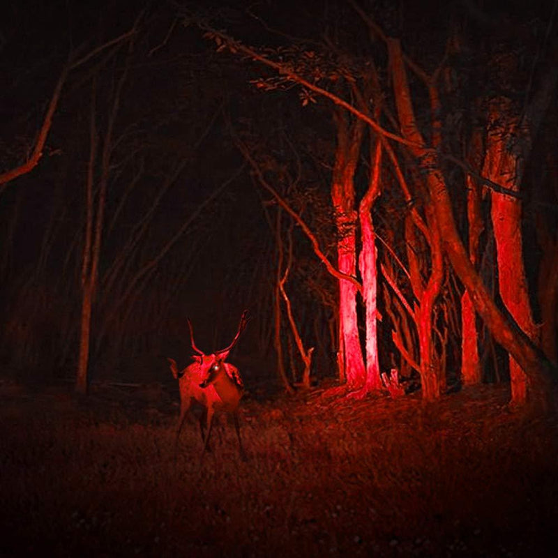AR happy online 3 Pack AR-200 Zoomable 3 Modes Red Light LED Flashlight, Red Flashlight, Red Light Flashlight Torch with Clip, Red LED Flashlight for Hunting, Astronomy, Aviation, Night Observation Black Shell/Red Light