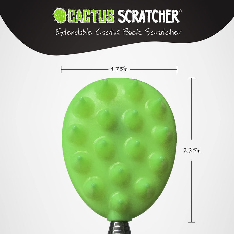 Extendable Cactus Back Scratcher 2-Sided, Super Satisfying Scratch, Tough ABS Plastic Head, Relieves Itching on Back, Head, Beard, Belly, Body, 8.5” to 24.5” (Bright Green) Light Green