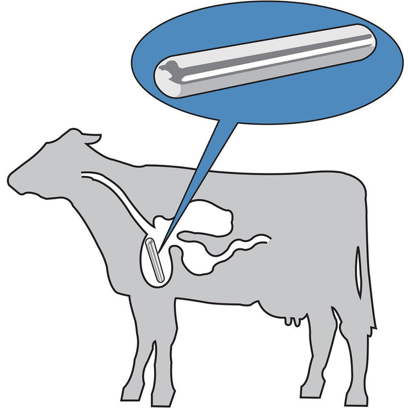 Master Magnetics 07239 Original Cast Alnico 5 Cow Magnet, 0.50" Diameter, 3" Length, Silver (Pack of 2)