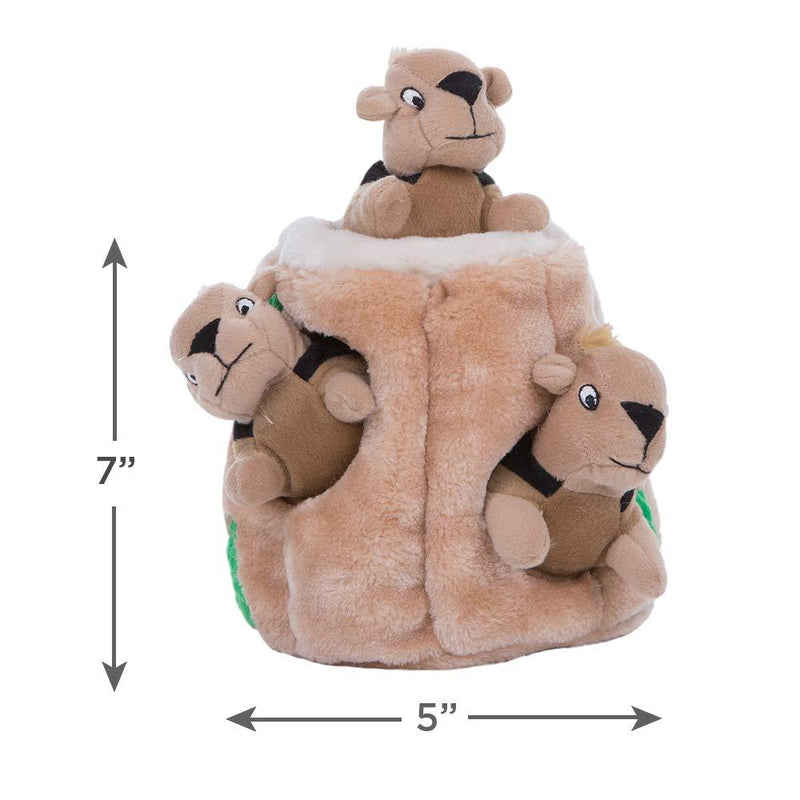 Outward Hound Hide-A-Squirrel Squeaky Puzzle Plush Dog Toy - Hide and Seek Activity for Dogs Small Squirrel