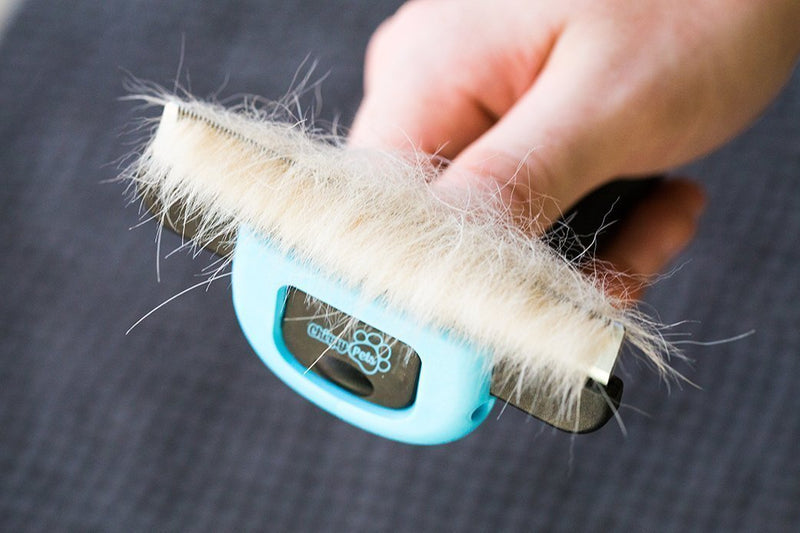 Chirpy Pets Dog & Cat Brush for Shedding, Best Long & Short Hair Pet Grooming Tool, Reduces Dogs and Cats Shedding Hair by More Than 90%, The Deshedding Tool