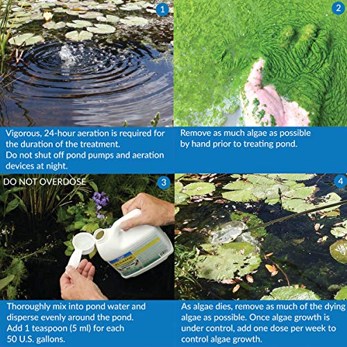 API POND ALGAEFIX Algae control, Effectively controls Green water algae, String or Hair algae and Blanketweed, Use as directed when algae blooms and as regular care 16 Fl Oz (Pack of 1)