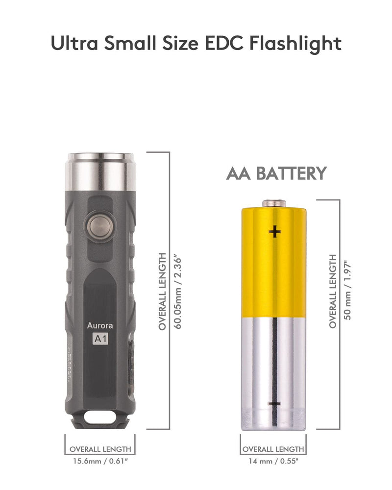 RovyVon Aurora A1 LED Keychain Flashlights, USB-C Rechargeable Max 650 High Lumens Super Bright with EDC Small Size, 5 Mode Easy Use with Clip,Waterproof,Perfect for Camping Emergencies Gift(Gray) Gray