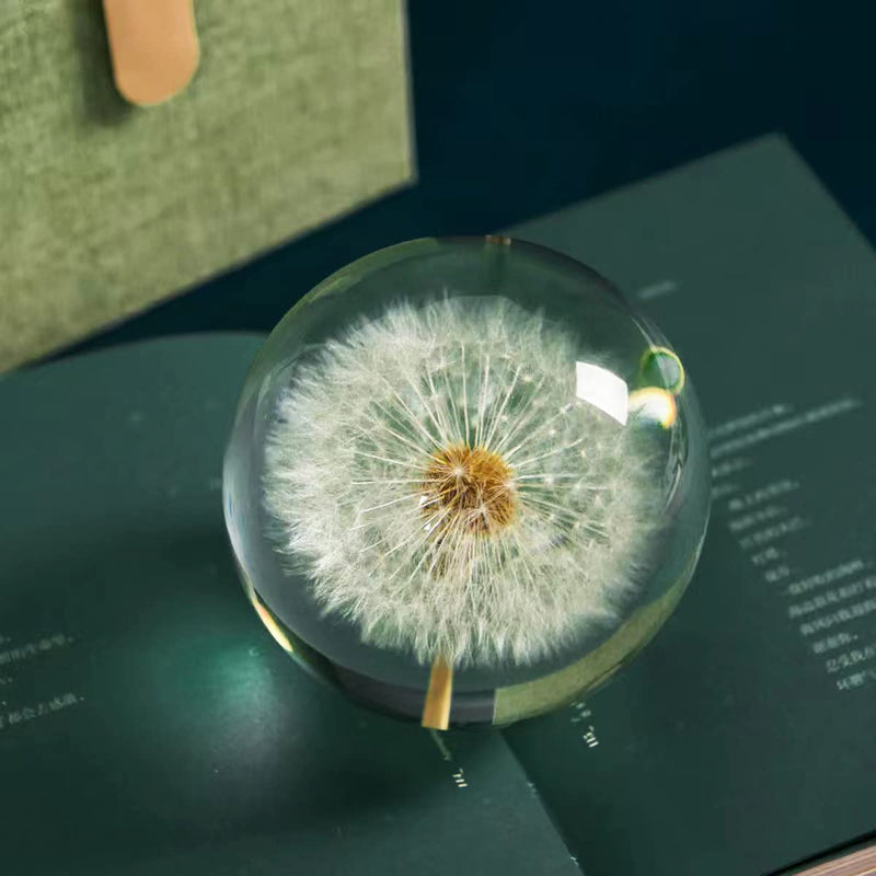 DESHINTKE Real Dandelion Specimen Ball Paperweight Desktop Decor Decoration (Large) Large