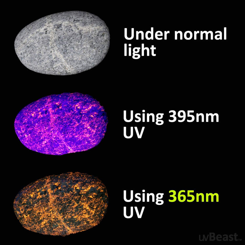 uvBeast NEW V3 365nm MINI - Black Light UV Flashlight – HIGH DEFINITION Ultraviolet - Rechargeable 18650 USB-C Quick charge Port - Professional Grade HIGH POWER UPGRADED LED – USA Stock