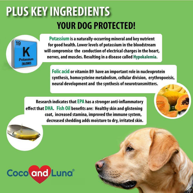 Coco and Luna Milk Thistle for Dogs, Liver Support for Dogs, Detox, Hepatic Support, Promotes Liver Healthy Function for Pets, VIT B1, B2, B6, B12 Tablet 120 Count (Pack of 1)