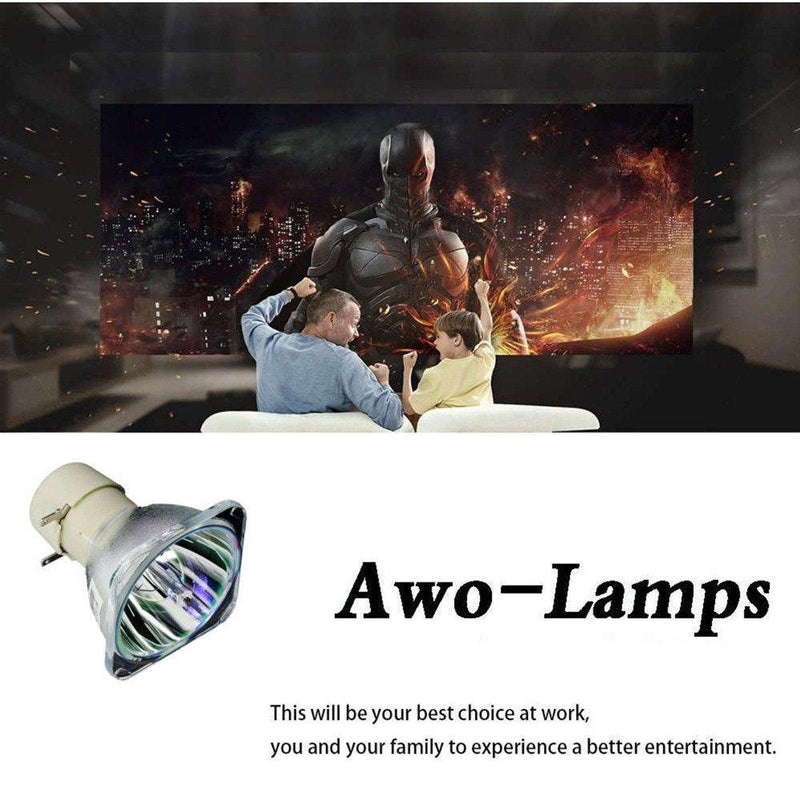 AWO Original Projector Lamp Bulb BL-FU240A / 5J.JFH05.001 / 5J.JCJ05.001 / 5J.JEC05.001 for OPTOMA DH1011,EH300,HD131X,HD25,HD25-LV,HD2500,HD30,HD30B,HD39DARBEE for BenQ TH530,MH530,MX704,MW705