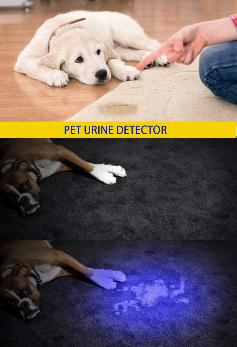 DARKBEAM USB Rechargeable UV light 395nm led Flashlight Portable 400nm Mini Detector for Dog Urine Pet Stains, Anti-counterfeiting identification, Resin Curing UV usb flashlight black