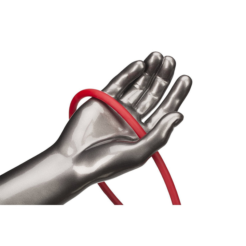 TheraBand Resistance Tubes, Professional Latex Elastic Tubing 25 Foot Red - Medium