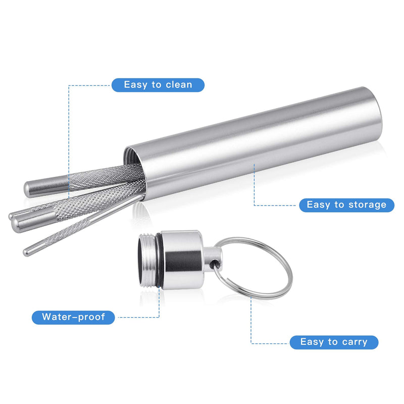 Worldity 5Pcs Portable Toothpicks Set, Portable Reusable Stainless Steel Toothpicks, Professional Teeth Cleaning Tools, Dental Picks with Toothpick Holder and Key Ring for Travel Picnic Camping