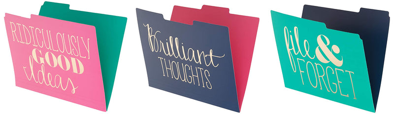Roobee Gold Brilliant Thoughts, Ridiculously Good Ideas, File & Forget Decorative File Folders (Set of 9) 1