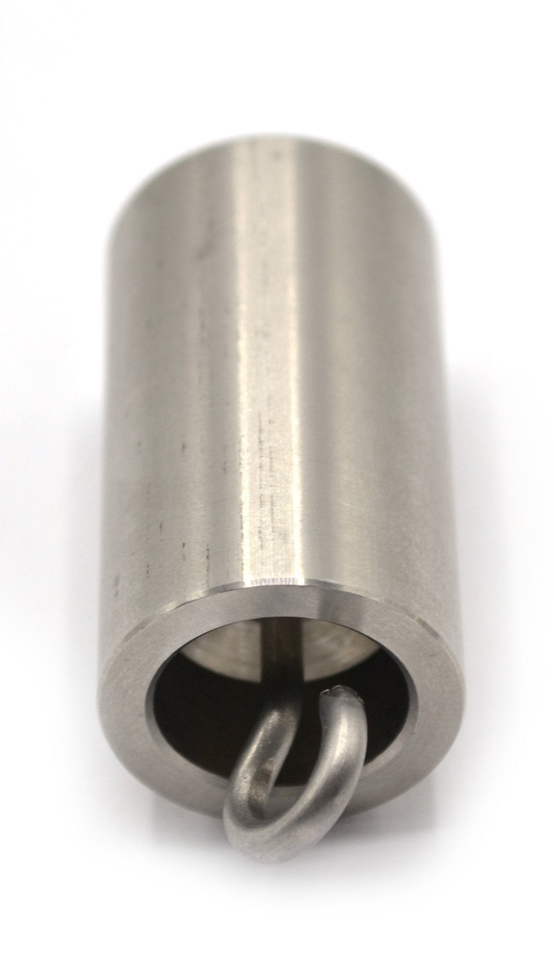 Double Hooked Weight Stainless Steel 100 Grams (0.22 Lbs.) Eisco Labs
