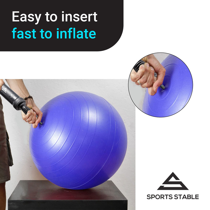 Sports Stable Exercise Ball Pump, Dual Inflation Manual Air Pump for Your Yoga and Pilates Ball, Pool Inflatables, and Party Balloons