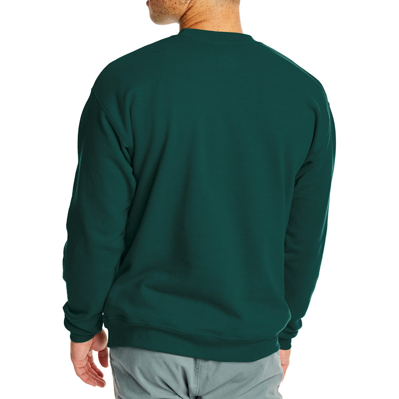 Hanes Men's EcoSmart Sweatshirt Small Deep Forest