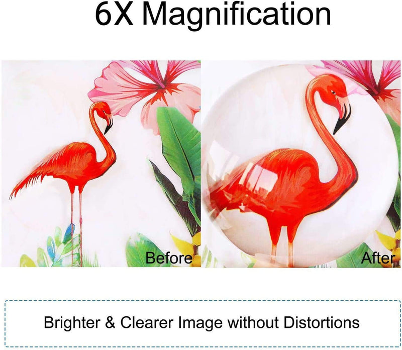 6X Reading Magnifier, 3 Inch Acrylic Paperweight Reading Dome Magnifying Glass with Pouch for Glass Optical Half Ball Lens