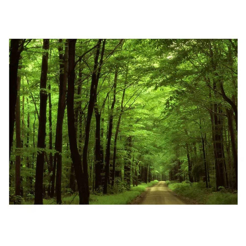 Deep In The Forest Thick Green Vegetation Tree Nature Mouse Pad Mat