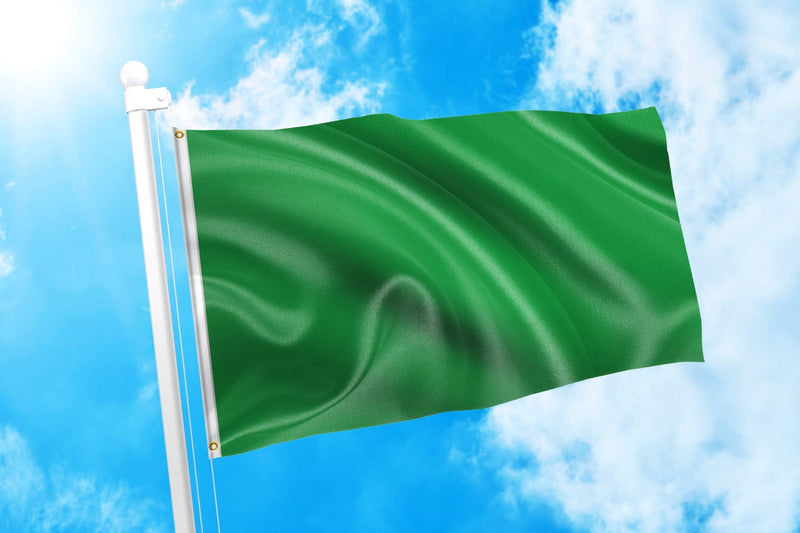 DMSE Solid Blank Flag 3X5 Ft Foot Flag UV Resistant (2x3 Polyester, Green) 2x3 Polyester