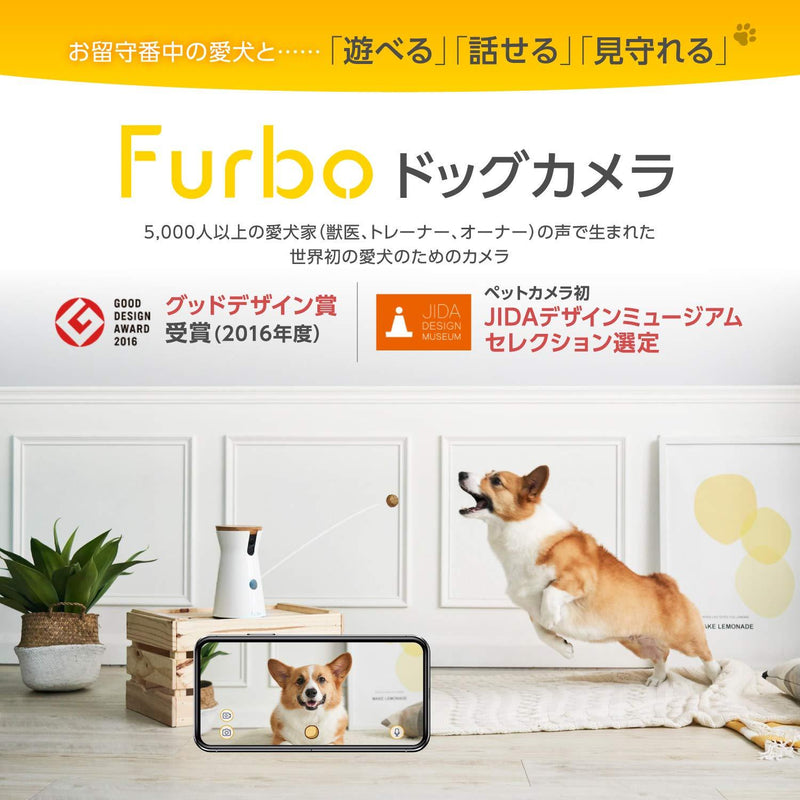 Furbo USB Adapter - PSE Approved
