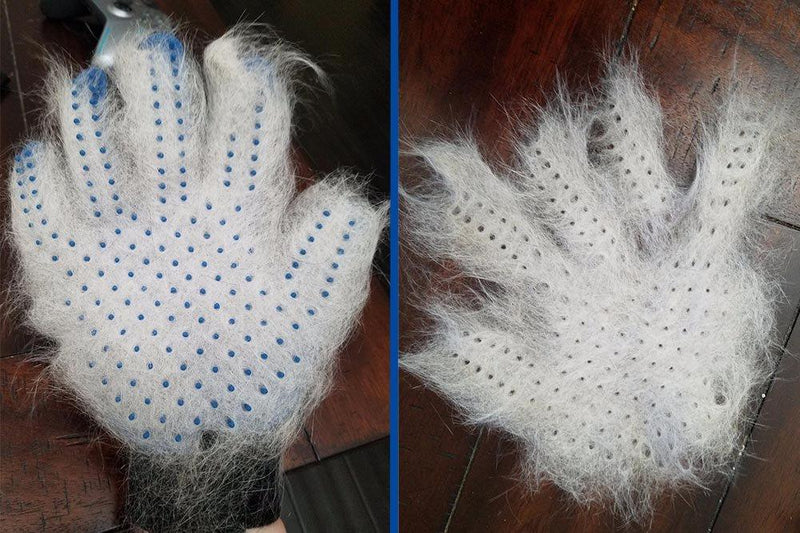 [Upgrade Version] Pet Grooming Glove - Gentle Deshedding Brush Glove - Efficient Pet Hair Remover Mitt - Enhanced Five Finger Design - Perfect for Dog & Cat with Long & Short Fur - 1 Pair 1 Pair (Blue) - Upgrade Version