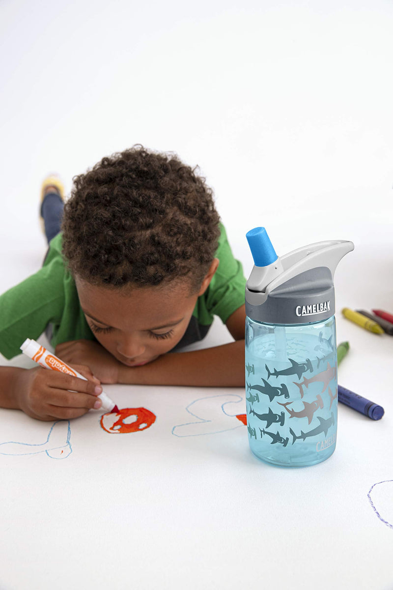 CamelBak Eddy Kids BPA Free Water Bottle Airplane Bandits