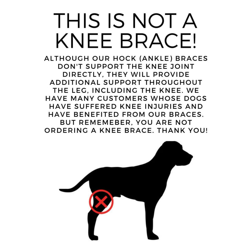 Labra Extra Supportive Dog Canine Rear Leg Hock Joint Wrap Protects Wounds as They Heal Compression Brace Heals and Prevents Injuries and Sprains Helps Arthritis … Medium