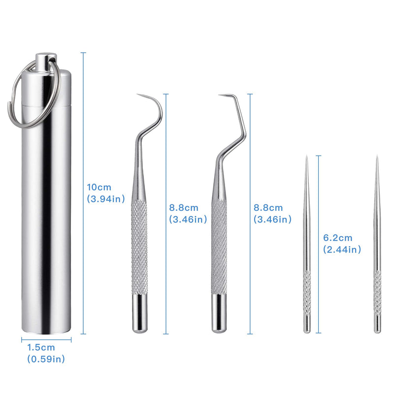 Worldity 5Pcs Portable Toothpicks Set, Portable Reusable Stainless Steel Toothpicks, Professional Teeth Cleaning Tools, Dental Picks with Toothpick Holder and Key Ring for Travel Picnic Camping