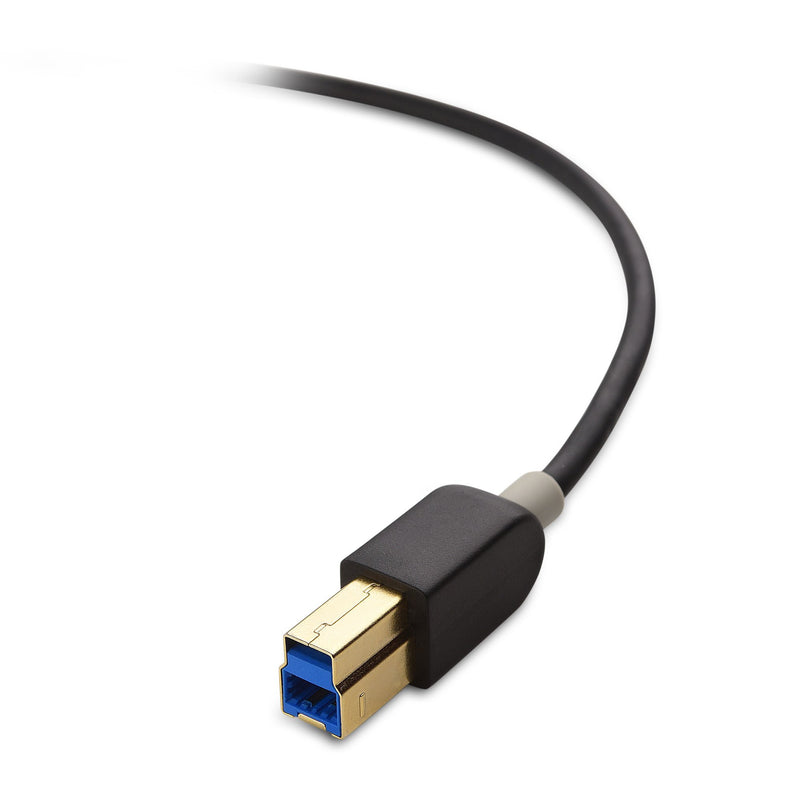 Cable Matters USB C to USB B 3.0 Cable (USB C to USB Type B 3.0, 3.0 USB B to USB C) in Black 3.3 Feet 3.3 ft