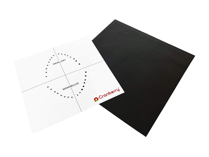 Cranberry USA CR8266 Carbon Dental Dam Latex Powder-Free, Spearmint Scented, 6x6, Black (Pack of 36)