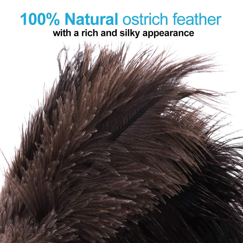 Midoneat Natural Black Ostrich Feather Duster,2 Packs,Car Duster Interior/Exterior Cleaner,Duster for Blinds Kitchen Keyboard Office, Smart and Soft and Fluffy Duster (Black)