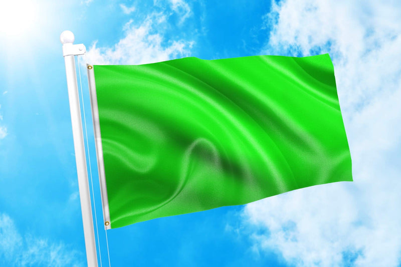 DMSE Solid Blank Flag 3X5 Ft Foot Flag UV Resistant (2x3 Polyester, Neon Green) 2x3 Polyester