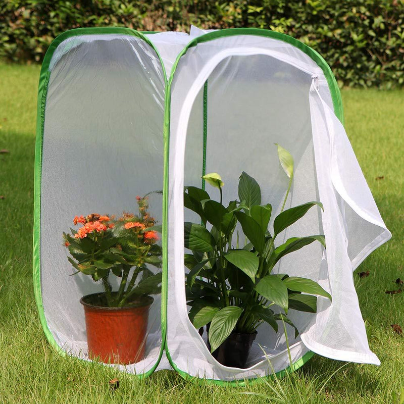 RESTCLOUD Insect and Butterfly Habitat Cage Terrarium Pop-up 23.6 Inches Tall 1 White With Green 15.7 x 15.7 x 23.6 inches