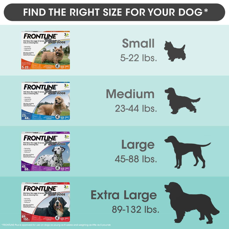 Frontline Plus Flea and Tick Treatment for Dogs (Small Dog, 5-22 Pounds, 3 Doses)